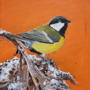 Pimpelmees op oranje in lijst